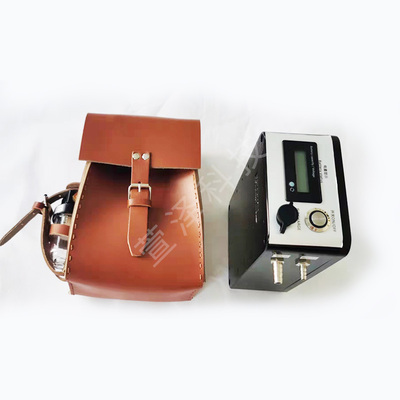 CFZ22(A)气体自动负压采样器